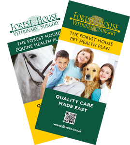 pick up a leaflet