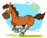horse services