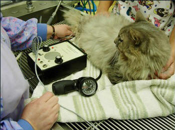 Blood Pressure Measurement
