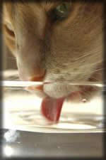 Thirst