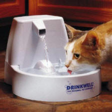 Drinking Fountain