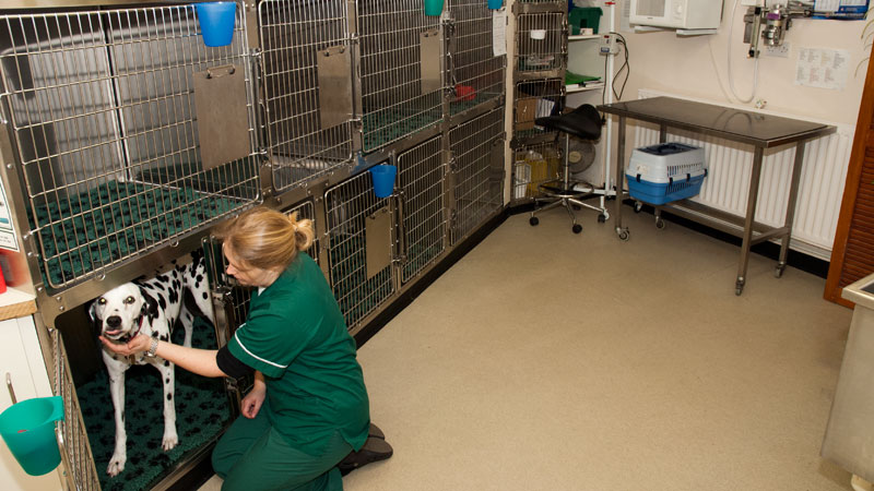 Kennel Area